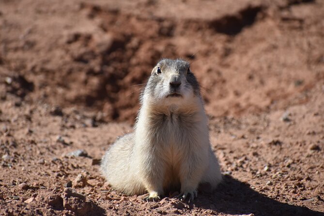 Moab Combo: Colorado River Rafting and Canyonlands 4X4 Tour - FAQ