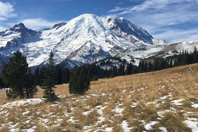Mount Rainier Day Hike - Transportation and Group Size