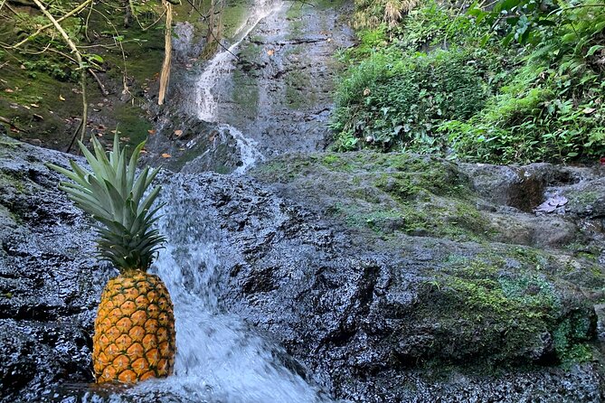 Nature Hike to Waterfall - Wrap-Up: Is It Worth It?