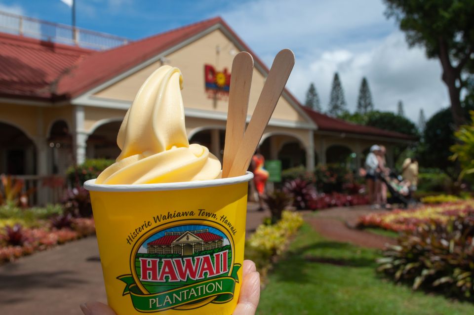 Oahu: Valley of Waimea Falls Swim & Hike with Lunch & Dole - Who Is This Tour Best For?