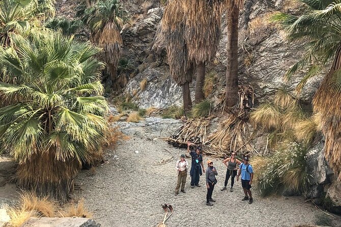 Palm Springs Hike to an Oasis and Amazing Desert Views - The Physical and Practical Perspective