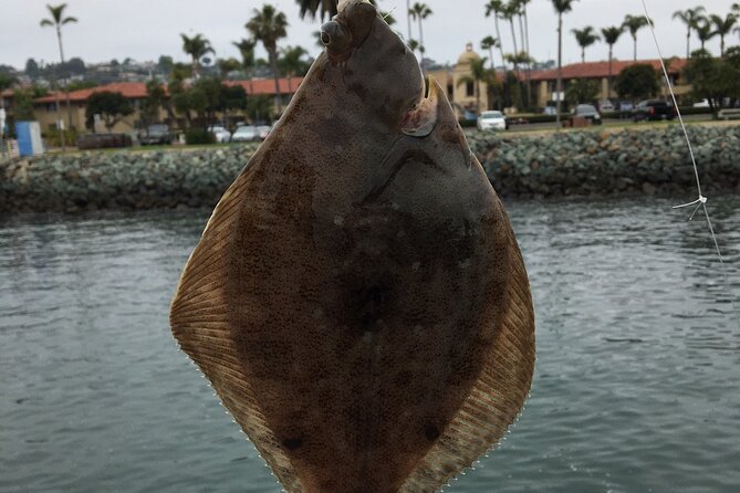Pier Fishing Tour - San Diego - Final Thoughts
