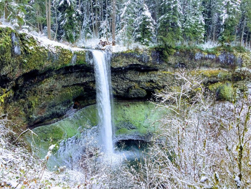 Portland: Silver Falls Hike - The Value of This Tour