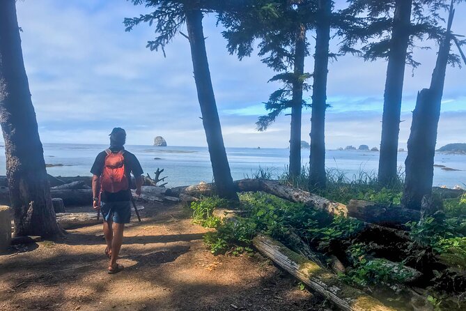 Private Day Hike in the Ozette Triangle - What People Are Saying (though limited data)