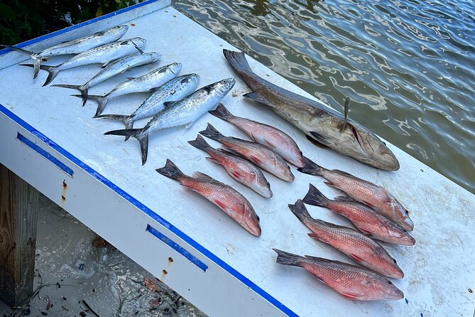 Private Fishing Charter in Tampa - FAQ – What You Need to Know Before Booking