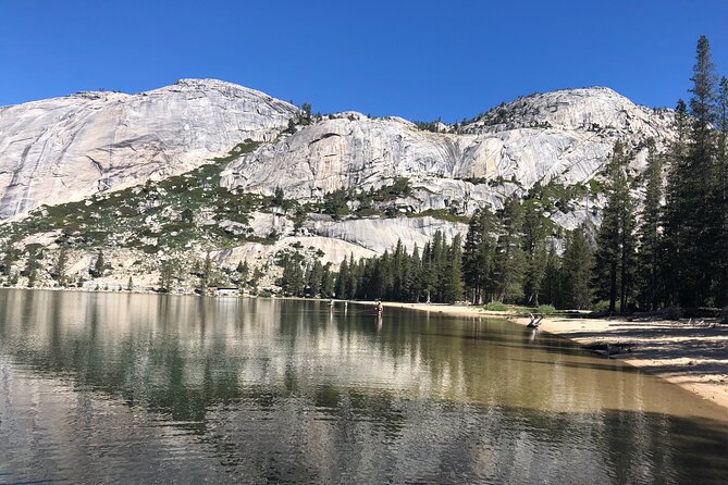 Private High Country Fly Fishing Adventure - Who Will Love This Tour?