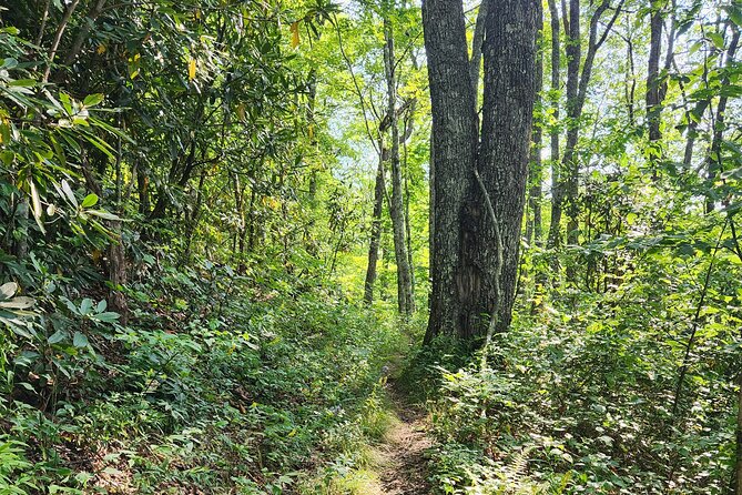 Privately Guided Half Day Hike - The Sum Up