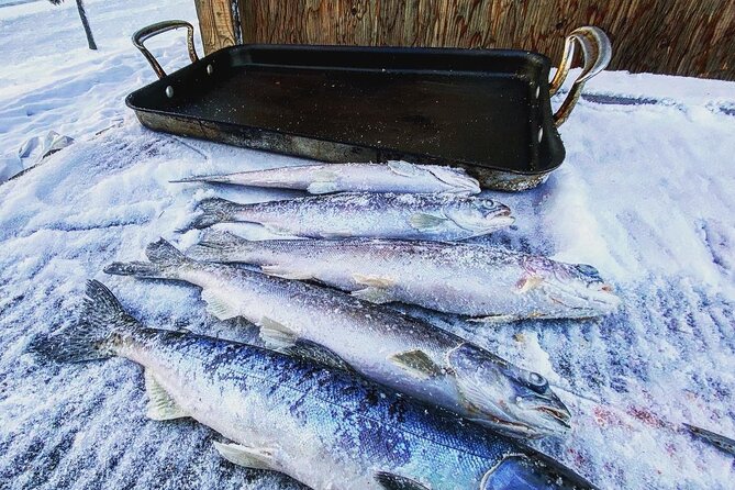 Quick and Easy Ice Fishing at Chena Lake - The Sum Up: Is It Worth Your Time and Money?