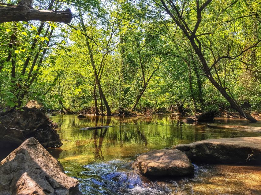 Richmond: Guided Hike in James River Park - Authentic Feedback from Travelers