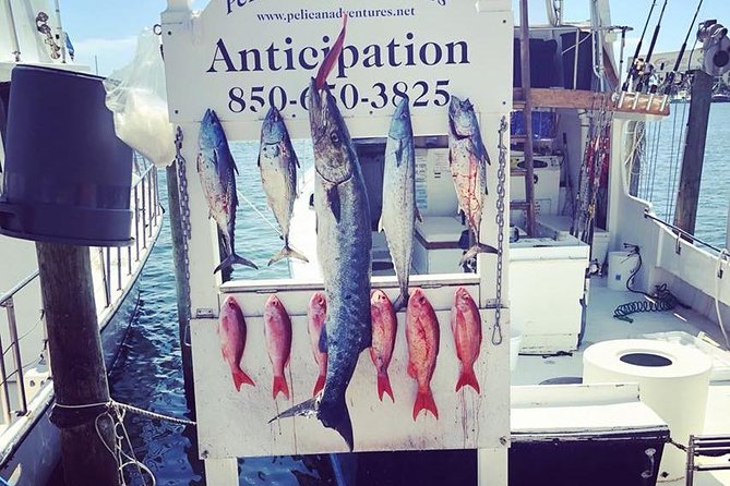 Shared Deep Sea Fishing Trip from Destin - FAQs