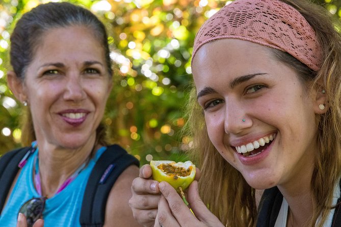 Small Group Waterfall and Rainforest Hiking Adventure on Maui - Lunch – Fresh and Nutritious