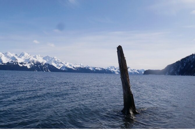 Tonsina Beach Hike with Seward Guided Hikes - The Practicalities & Value