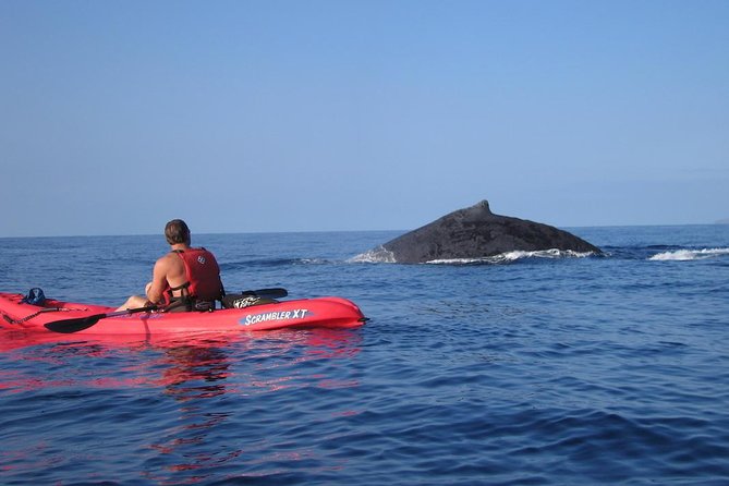 Waterfall Hike and Kayak Snorkel & Paddle from Makena - Breaking Down the Itinerary
