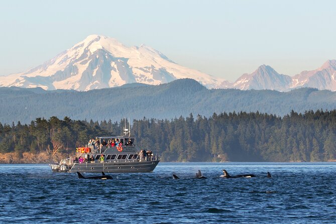 Whale Watching + Deception Pass Tour from Seattle - Why This Tour Is a Great Choice