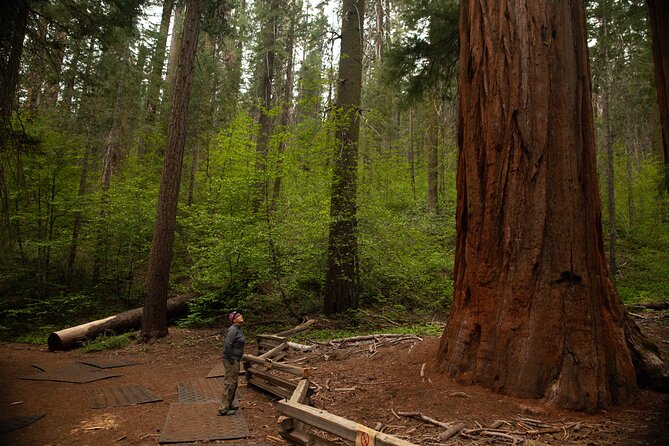 Yosemite Full Day Private Tour and Hike - FAQs