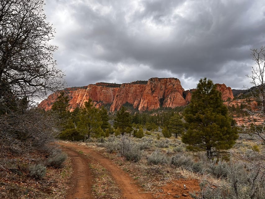 Zion National Park 5-hour Tour: Hike and Drive - An Authentic Zion Experience without Overexertion