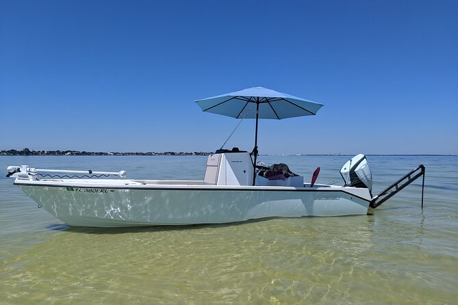 4 hour fishing Charter - A Practical Review of Tampas 4-Hour Fishing Charter