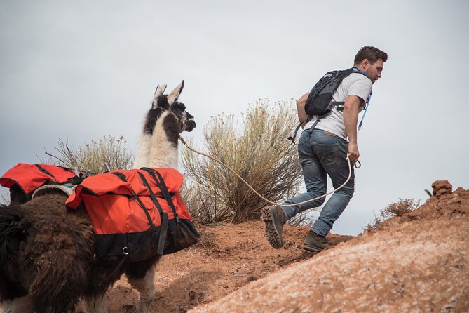 2-Hour Llama Hike - Final Thoughts