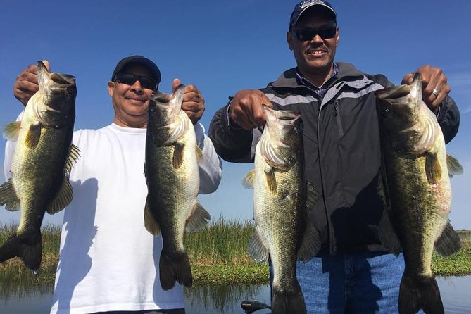 8-hour Butler Chain of Lakes Fishing Trip Near Orlando - What’s Included and What to Consider