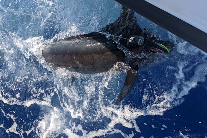 8 Hour Private Fishing Charter in Kailua-Kona, Hawaii - Who Should Consider This Trip