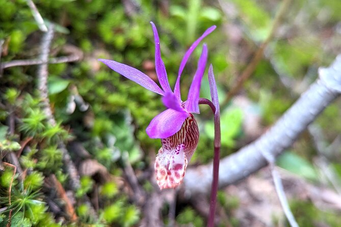 Alpine Lake Float and Guided Hike in the Bitterroot Mountains - FAQ