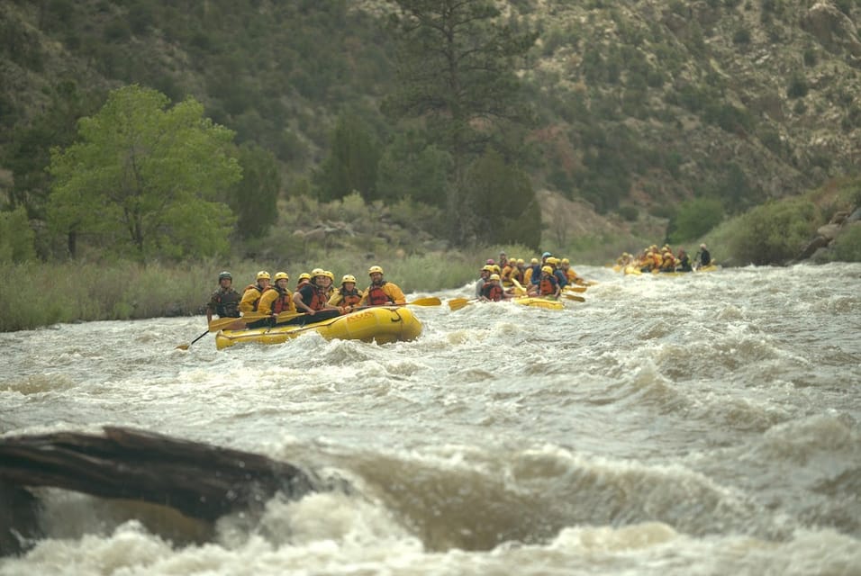 Cañon City: Bighorn Sheep Canyon Guided Rafting Adventure - The Sum Up