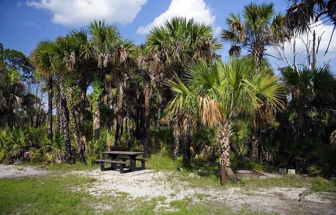 Everglades National Park Naturalist Led Hike, 2 Boat Trips + More - Introduction