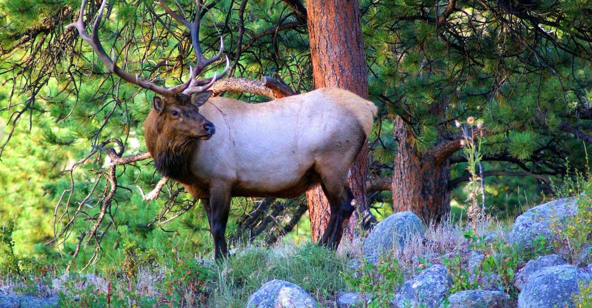 From Denver: Hike the Rockies Tour - Final Thoughts