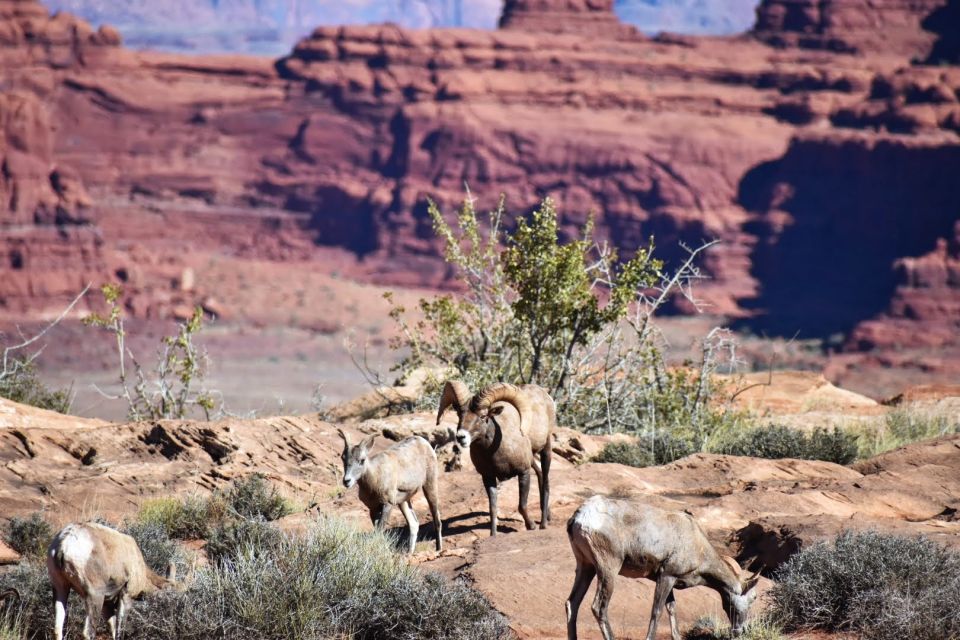 From Moab: Canyonlands 4x4 Drive and Colorado River Rafting - Final Thoughts: Is It Worth It?