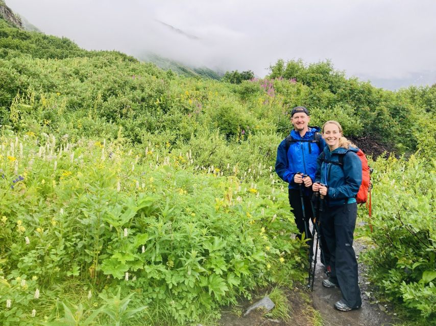 From Seward: 2-hour Wilderness Hiking Tour - The Sum Up: Who Is This Wilderness Hike Best For?