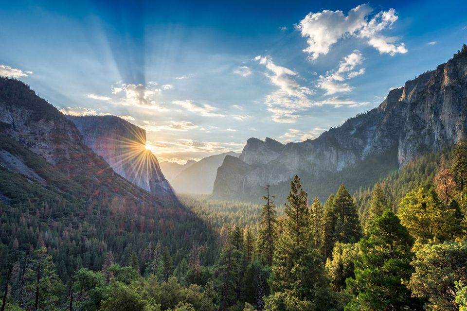 From SF: Yosemite Day Trip with Giant Sequoias Hike & Pickup - Final Thoughts