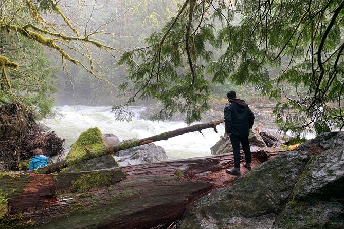 Guided forest hike to Seattle waterfalls incl. Snoqualmie Falls - What to Expect and Practical Tips