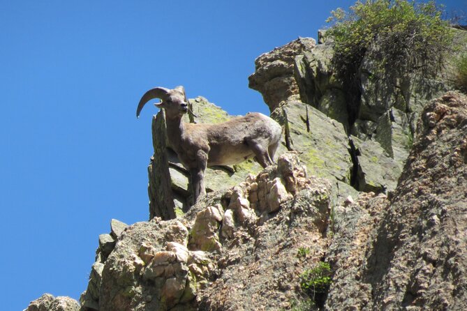 Half day Beg/Inter Rafting near Ft Collins - Estes Park - Boulder - Analyzing the Value