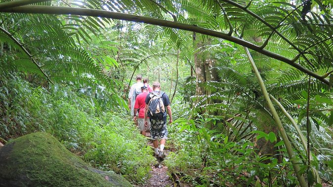 Hawaiian Waterfall Hike - Final Thoughts: Who Should Book This?