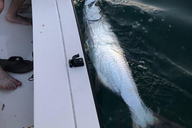 Inshore Sport Fishing with Local Guide - Final Word: Is It Worth It?