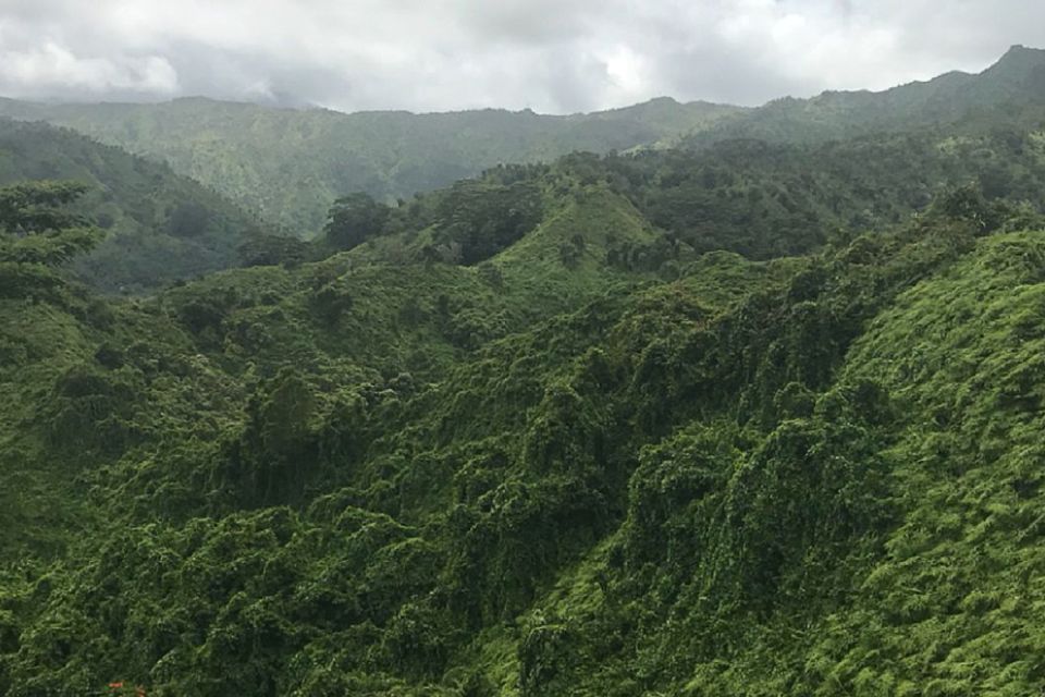 Kauai: Half-Day Kauai Adventure - Authentic Kauai Encounters and Unforgettable Views