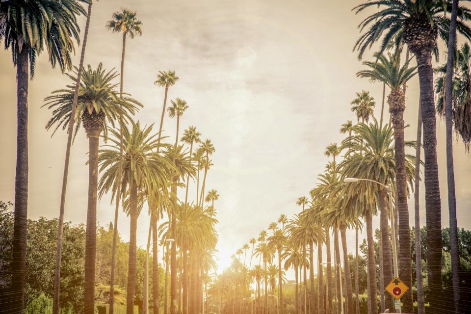 Los Angeles: LA in a Day Guided Electric Bike Tour - Frequently Asked Questions