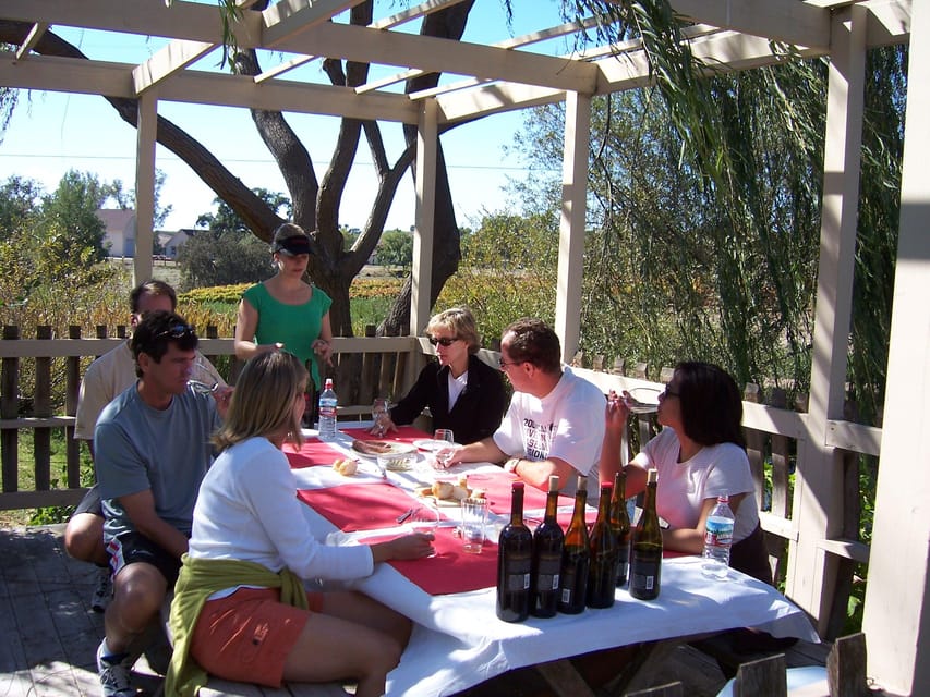 Los Olivos: E-Bike Tour + Vineyard Lunch w/Wine Tasting - Value and Practical Considerations
