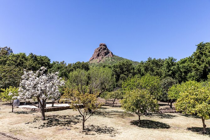 Malibu: Guided Vineyard Hike with Photo Stops and Wine - FAQs