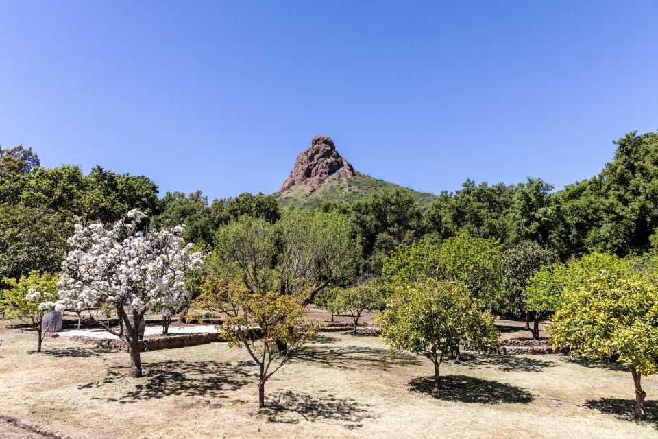 Malibu: Guided Vineyard Hike with Photo Stops and Wine - Rest Break with Stunning Views