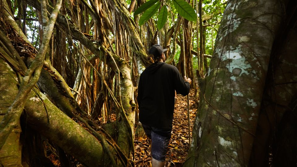 Maui: Honolua Ridgeline Informational Hike - Who Will Love This Tour?