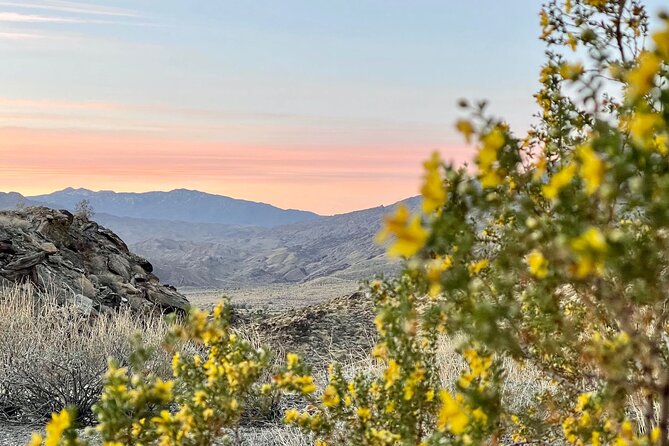 Mountain Sunrise Hike and Meditation in Palm Springs - Final Thoughts