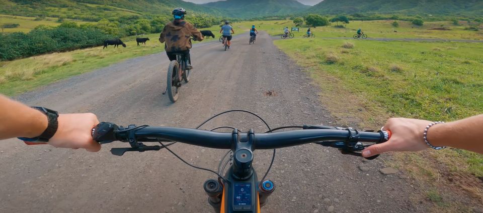 Oahu: Kualoa Electric Bike Tour - Who Is This Tour Best For?