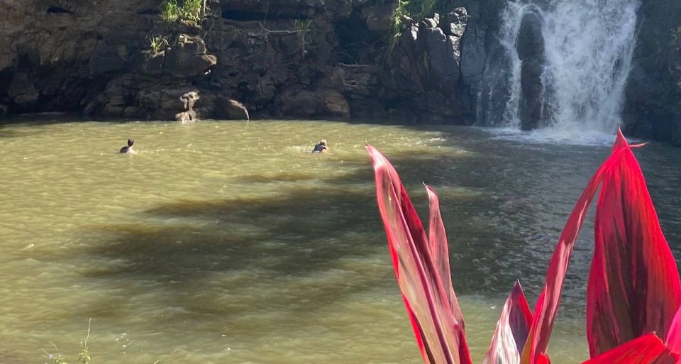Oahu: Valley of Waimea Falls Swim & Hike with Lunch & Dole - FAQ