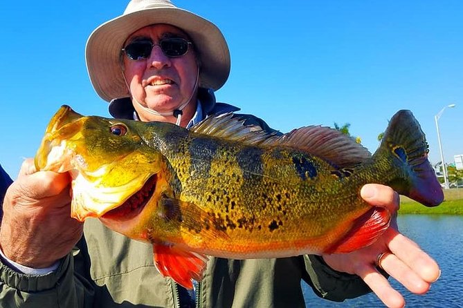 Peacock Bass Fishing Trip in Boynton Beach - The Sum Up — Who Will Love This?