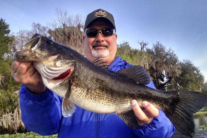 Private 8-hour Lake Toho Fishing Charter Near Kissimmee - An Undercover Gem for Anglers and Nature Lovers