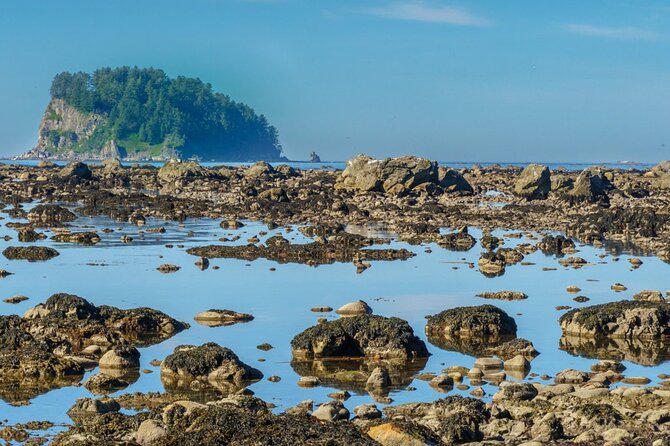 Private Day Hike in the Ozette Triangle - The Sum Up