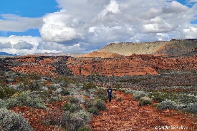 Secret Petroglyphs Hike Adventure - The Sum Up