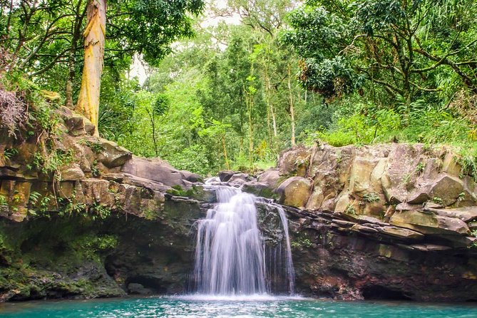 Small Group Waterfall and Rainforest Hiking Adventure on Maui - The Value of Small Groups and Guided Expertise