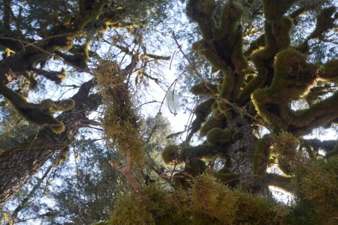 Tonsina Beach Hike with Seward Guided Hikes - Final Thoughts—Who Should Consider This Tour?